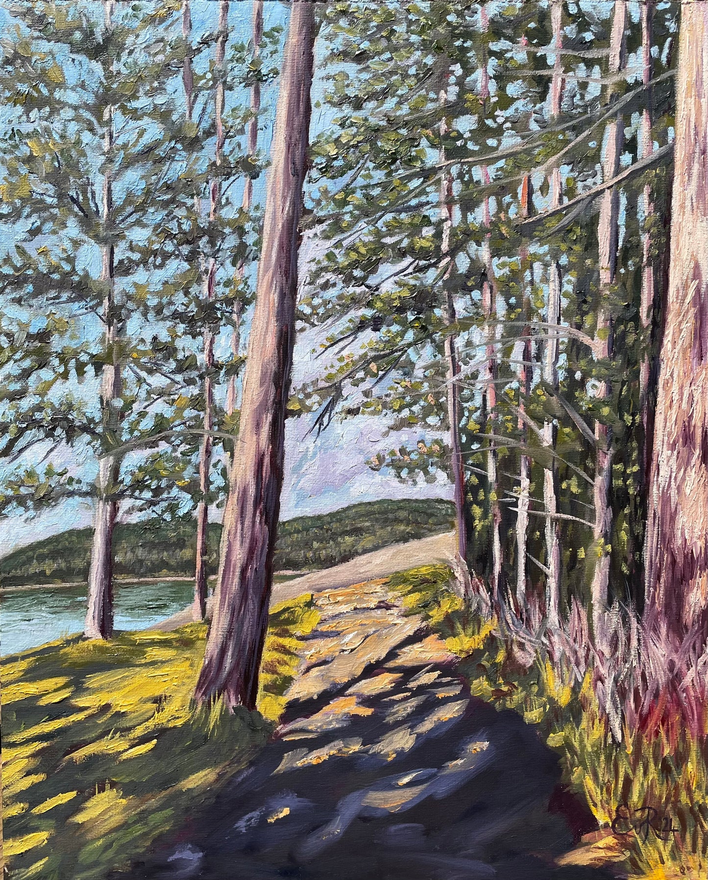 "Rebecca Spit - Quadra Island"